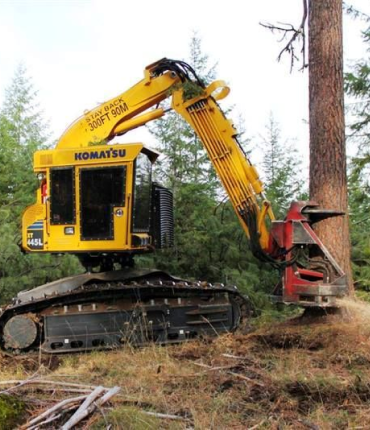 822E Feller Buncher